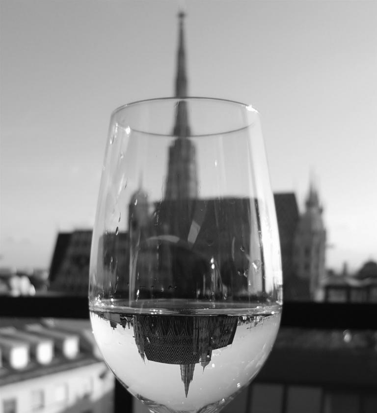 Ausblick auf den Stephansdom